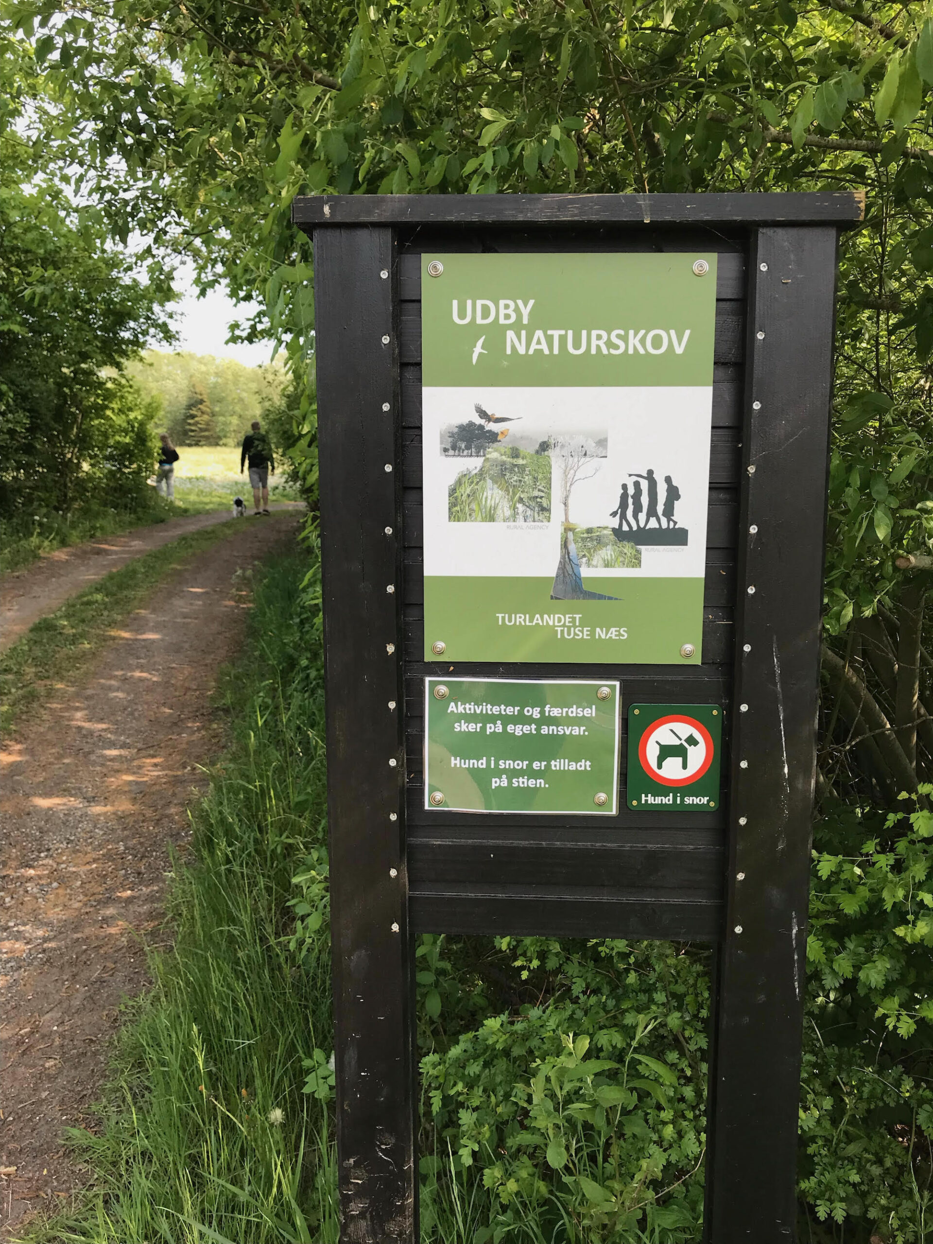 indgang til udby naturskov foto in